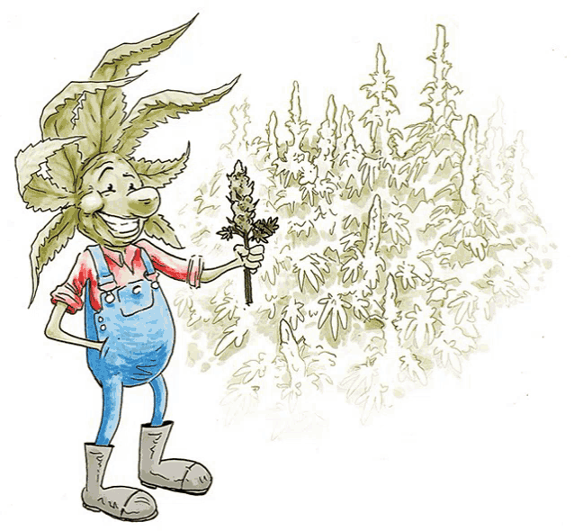 a cartoon drawing of a man holding a flower