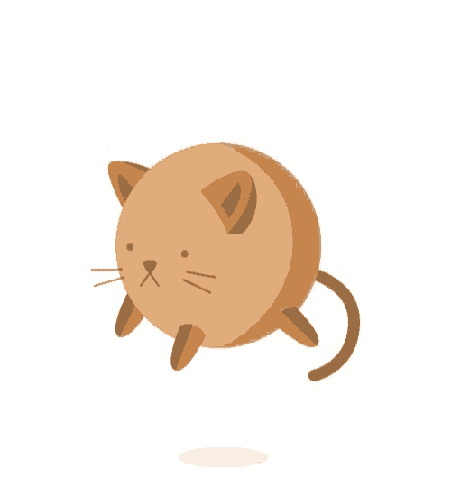 a round brown cat with orange ears and a long tail is walking on a white background