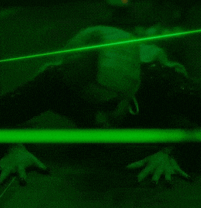 a person standing in front of a green light