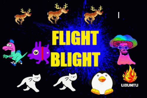Flight Blight Red Nose Reindeer GIF - Flight Blight Red Nose Reindeer Cat GIFs
