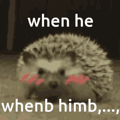 When Hedgehog GIF - When He Hedgehog GIFs