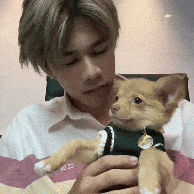 a man holding a small dog wearing a shirt that says cc dc on it