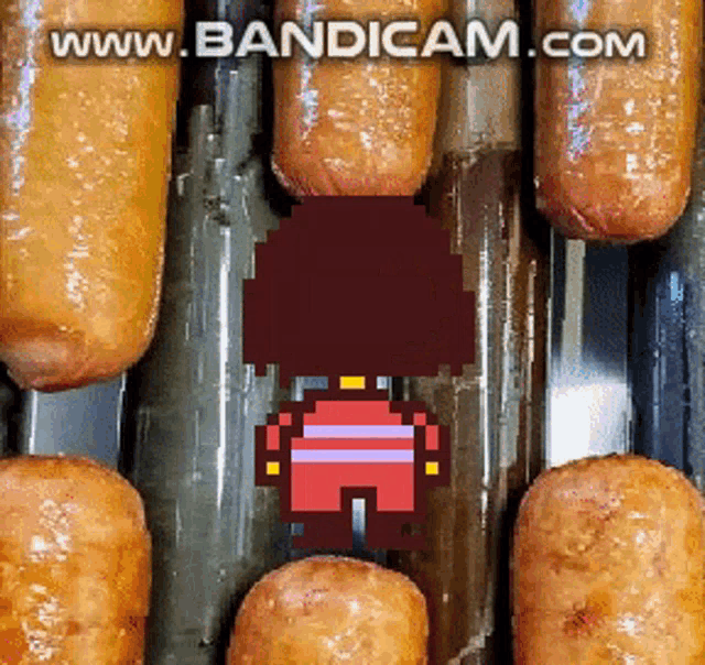 a bunch of sausages in a pan with the website www.bandicam.com at the top