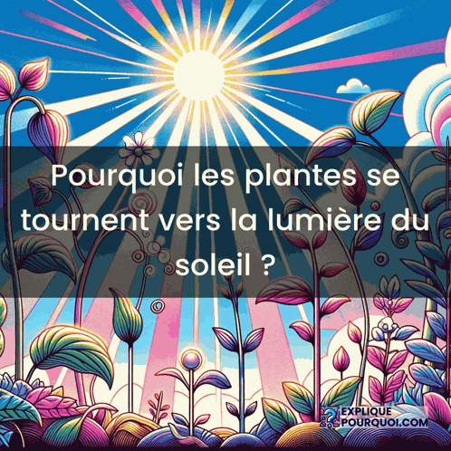 a colorful painting with the words pourquoi les plantes se tournent vers la lumiere du soleil