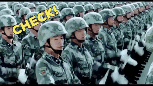 Salute Check GIF - Salute Check Soldiers GIFs