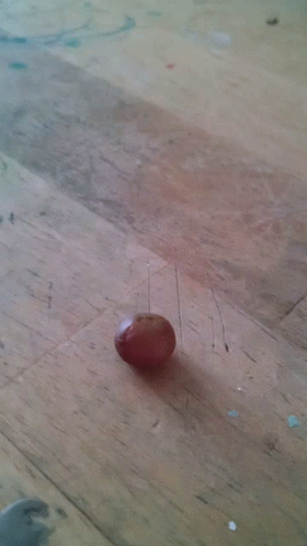 Tiny Grape Lol GIF - Tiny Grape Lol GIFs
