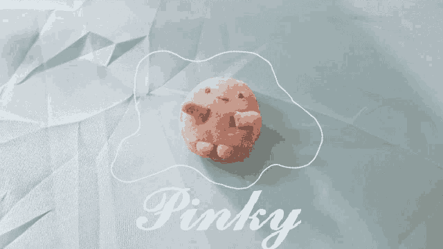 a stuffed animal with the word pinky written on it