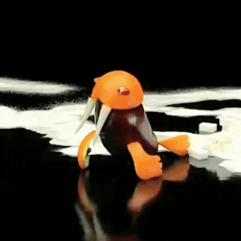 a green cup and saucer sit on a table next to a walrus made out of fruit
