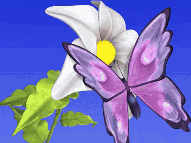 a pink butterfly is sitting next to a white flower with a yellow center