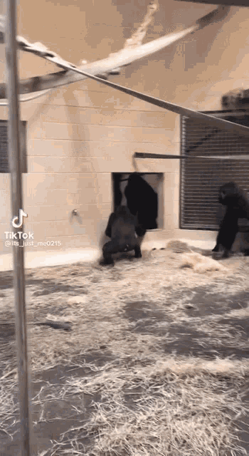 a gorilla is crawling out of a hole in a building
