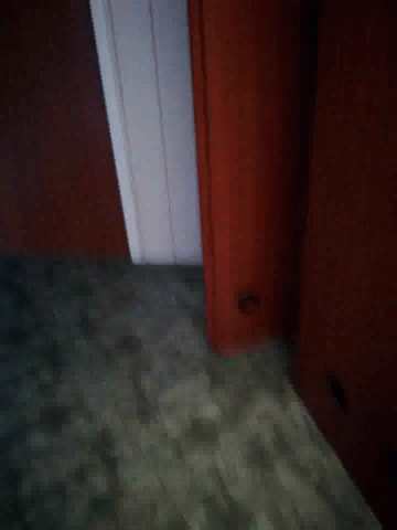 Hallway Flash GIF - Hallway Flash Open Door GIFs