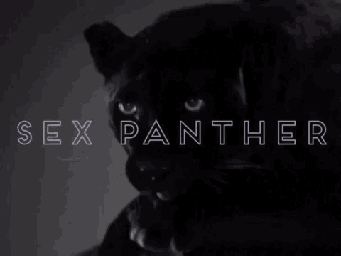 Sex Panther Licks GIF - Sex Panther Licks GIFs