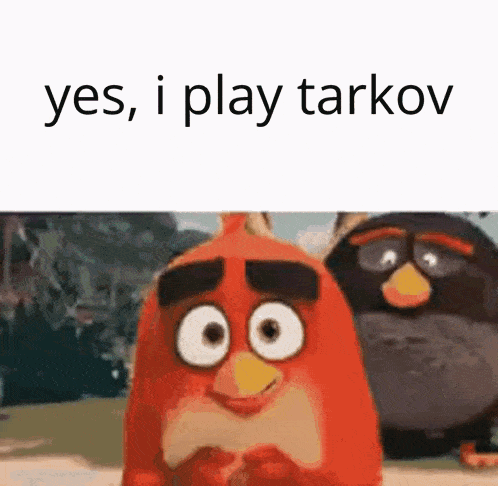 two angry birds are standing next to each other with the words yes , i play tarkov on the bottom .
