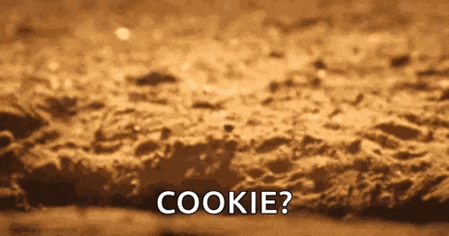 a close up of a cookie with the word cookie written on it