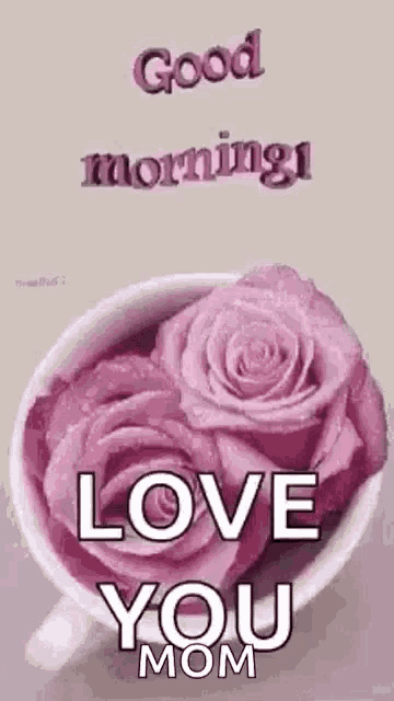 a cup of pink roses with the words `` good morning i love you mom '' written on it .