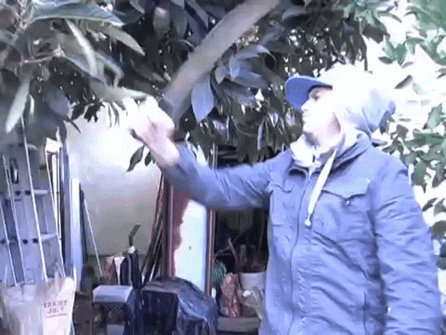 Leaves Angry GIF - Leaves Angry Annoyed GIFs
