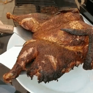Turkey Cooking Turkey GIF