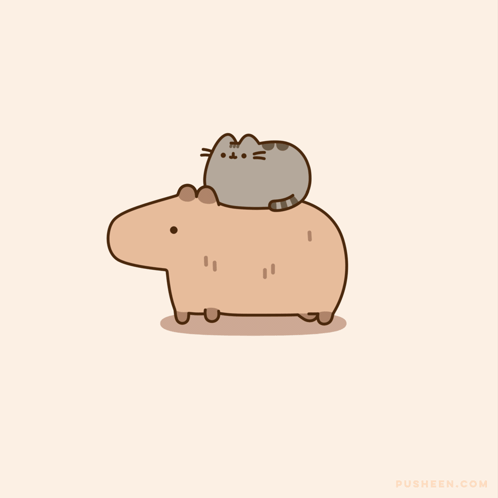 Pusheen Cat Capybara GIF - Pusheen Cat Capybara Pusheen GIFs