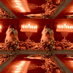 a bunch of candles are lit up in a dark room