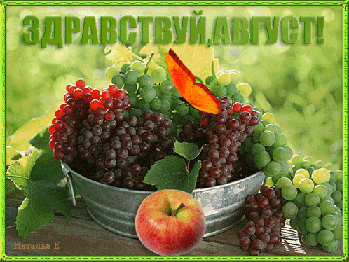 a bucket of grapes with an apple and a butterfly on it with a green background