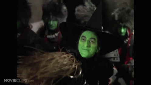 My Hot Friday Night!  GIF - Wizard Of Oz Fire Its Lit GIFs