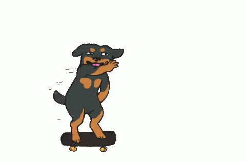 Dog Skateboard GIF - Dog Skateboard Rottweiler GIFs
