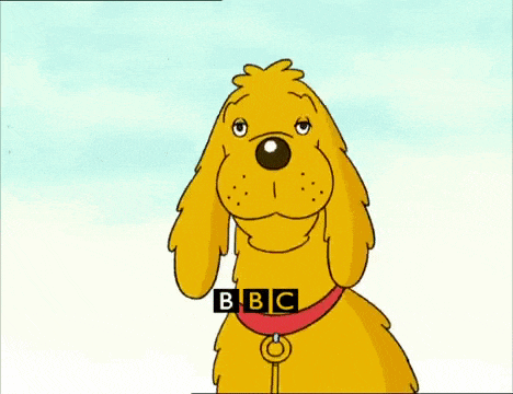 a yellow dog with a red collar and a bbc logo