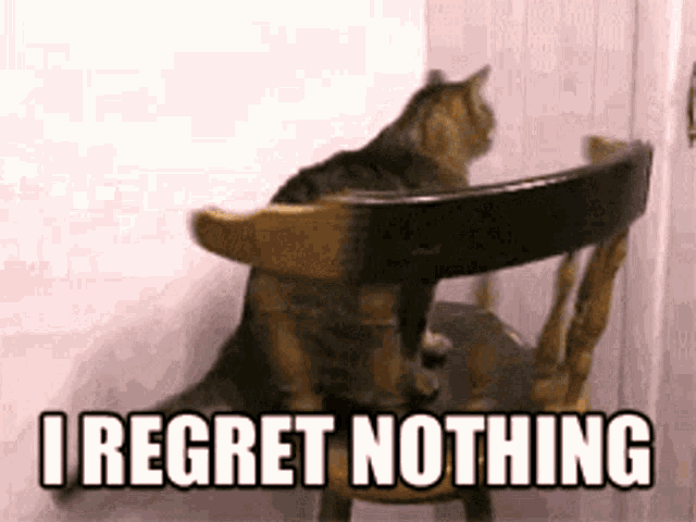 a cat sitting on a chair with the words i regret nothing written below it