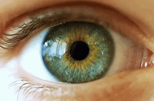 Pupil Vision GIF - Pupil Vision Eye GIFs