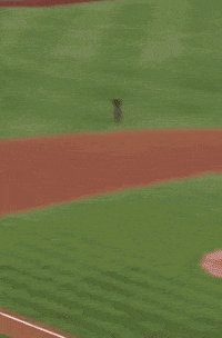 a baseball player with the number 28 on his shirt