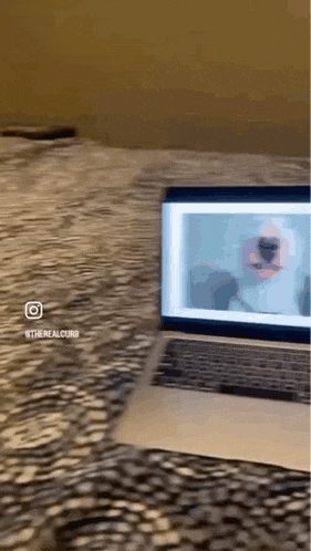 a laptop with a picture of a dog on the screen is on a table