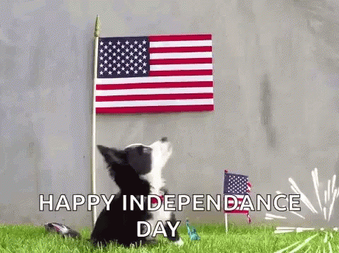 Happy4th Of July Independence Day GIF - Happy4th Of July Independence Day Dogs GIFs
