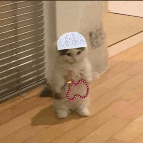 a cat wearing a hat and holding a rosary is standing on its hind legs