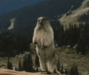 a ground squirrel standing on its hind legs with the words linda written on the top