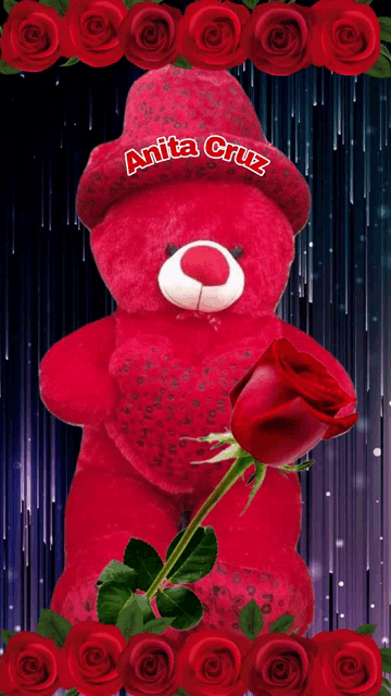 a teddy bear with anita cruz written on its hat