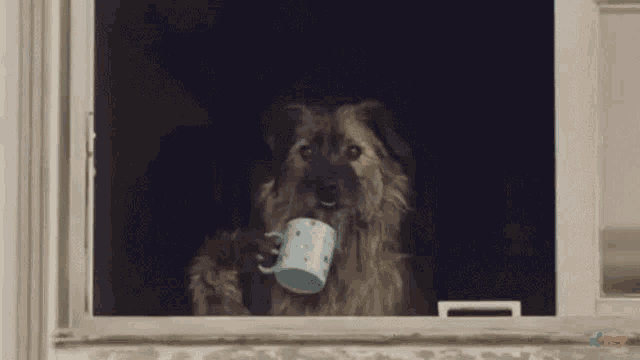 a dog looking out of a window with a cup in its paw