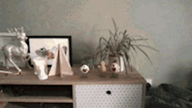 a table with a plant on it and a picture on it