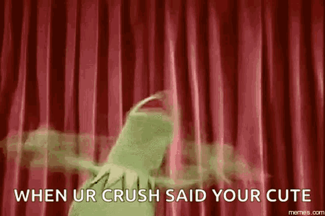 kermit the frog is standing in front of a red curtain and says `` when ur crush said your cute '' .