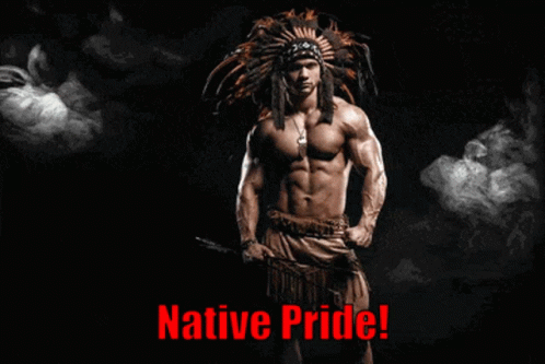 Native American Native Pride GIF - Native American Native Pride Indian GIFs