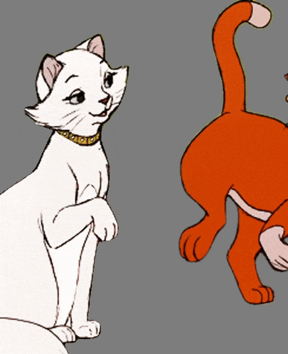 a cartoon drawing of a white cat and an orange cat wearing sunglasses with the letter b on them