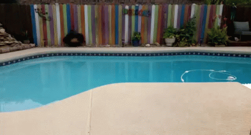 Swimming Swimming Pool GIF - Swimming Swimming Pool Summer GIFs