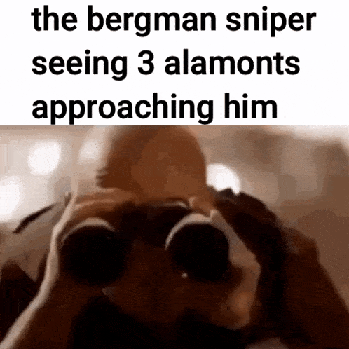 the bergman sniper is seeing 3 almonds approaching him