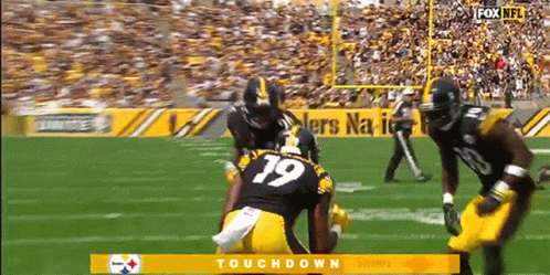 Pittsburgh Steelers Dice Roll GIF