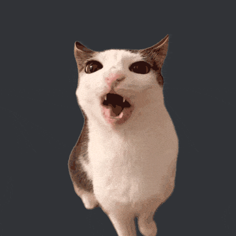 a brown and white cat with its mouth open looks at the camera