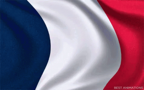 علم فرنسا GIF - French Flag Drapeau Francais France GIFs