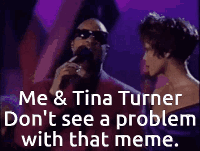 You Cant See Me Me And Tina Turner GIF - You Cant See Me Me And Tina Turner Dont See A Problem GIFs