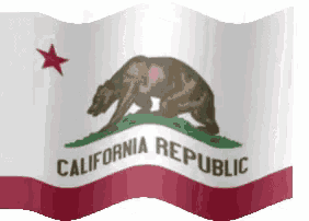 a waving california republic flag with a bear and a star