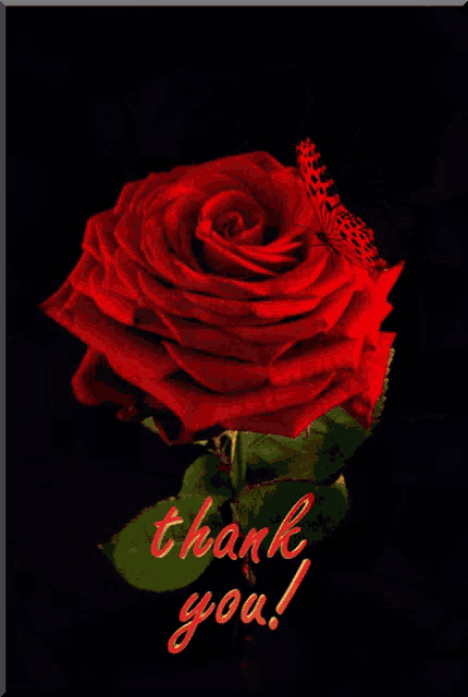 a red rose with a butterfly and the words thank you