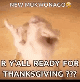 Happy Thanksgiving Turkey Dance Ready For Thanksgiving GIF