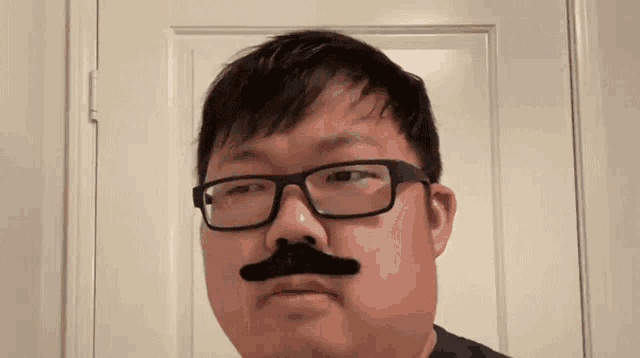 a man wearing glasses and a fake mustache looks at the camera